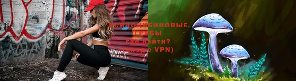 скорость Алзамай