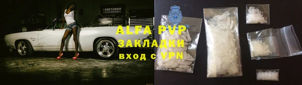 гидра Новозыбков