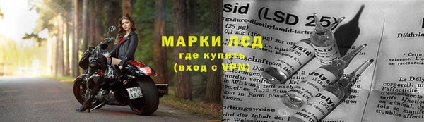 скорость Алзамай
